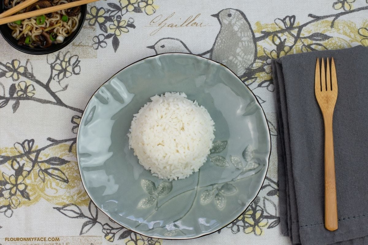 a mound of white rice in the center of a small dinner plate
