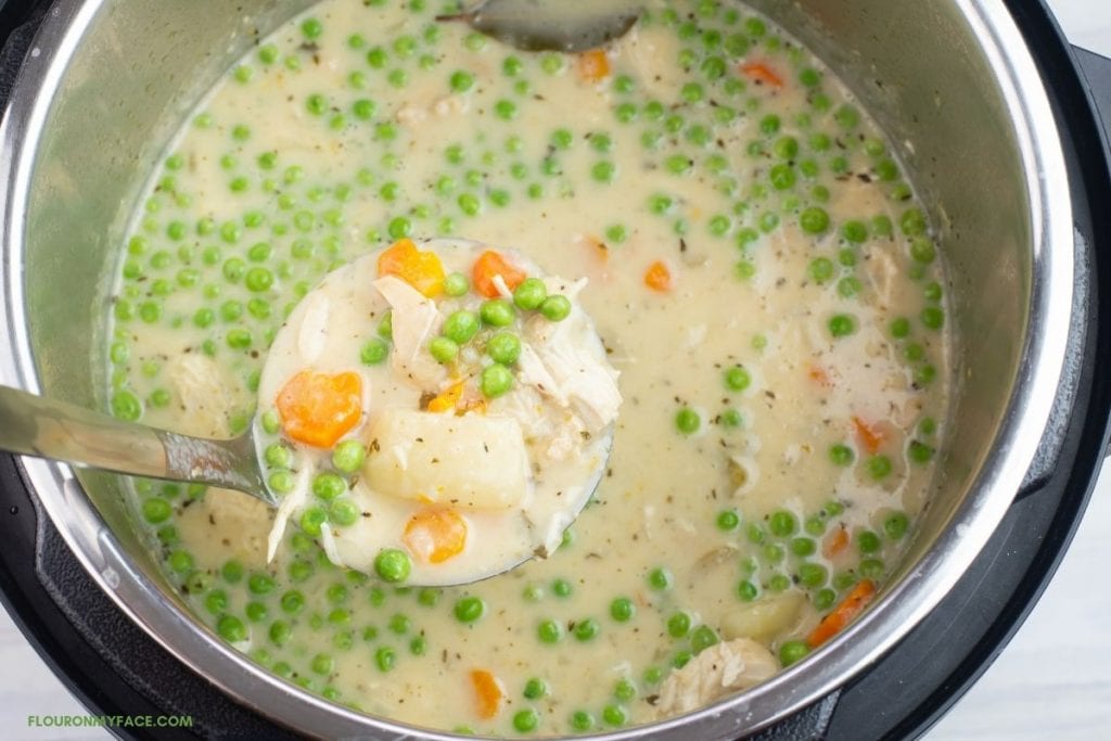 Dipping a ladle into a pot of chicken stew.