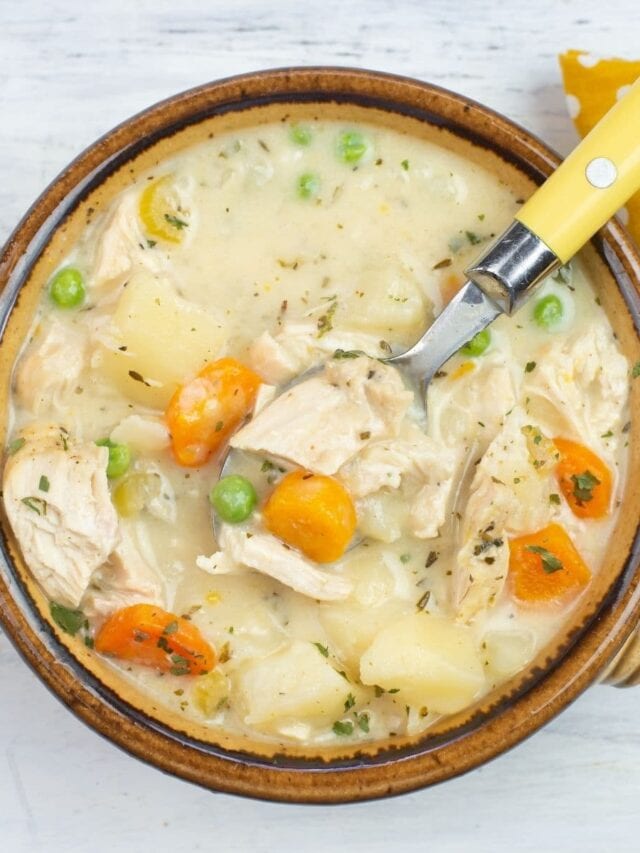 Creamy Instant Pot Chicken Stew