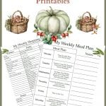 November Meal Plan 2 printable preview