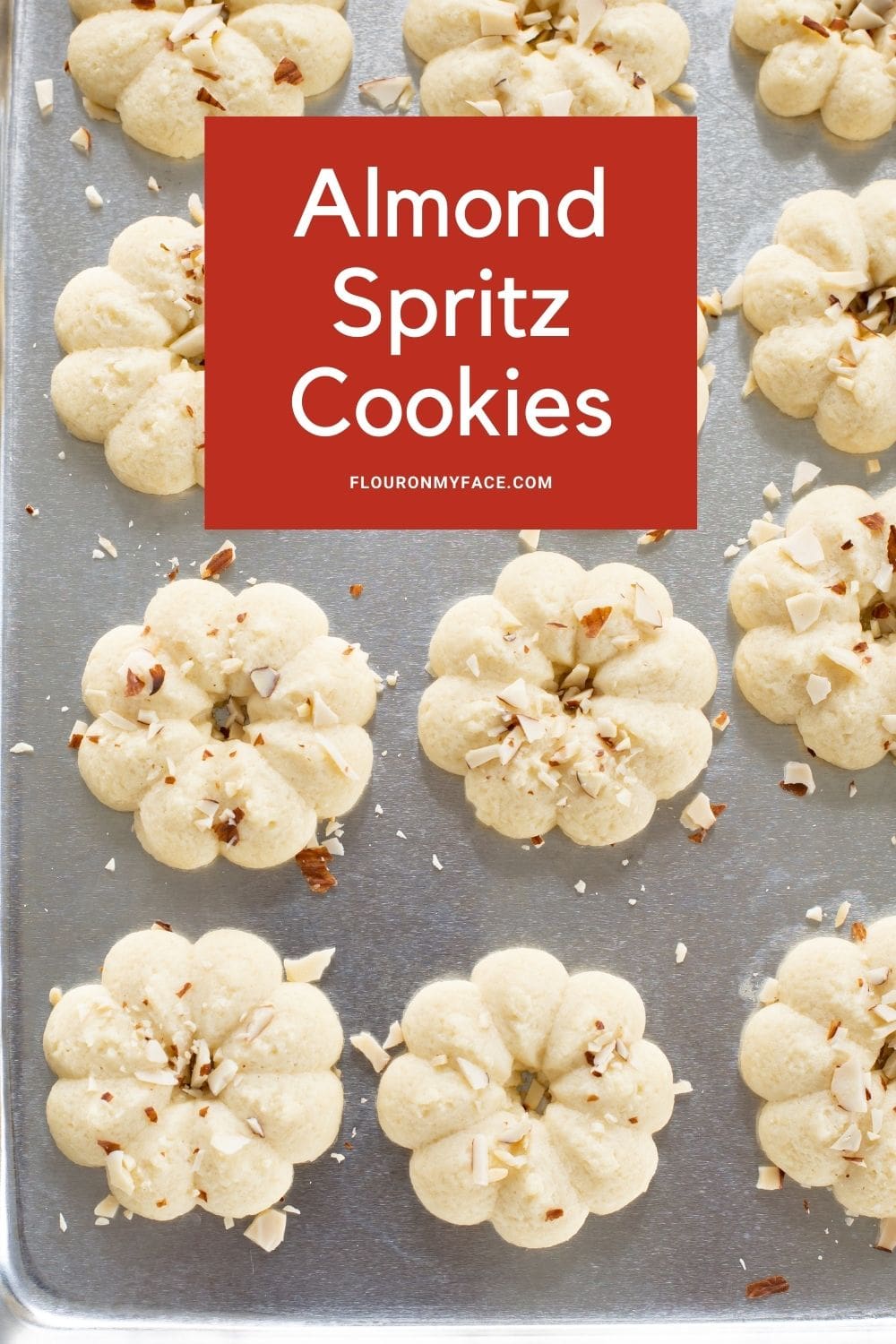 Almond Spritz Cookies Recipe Flour On My Face