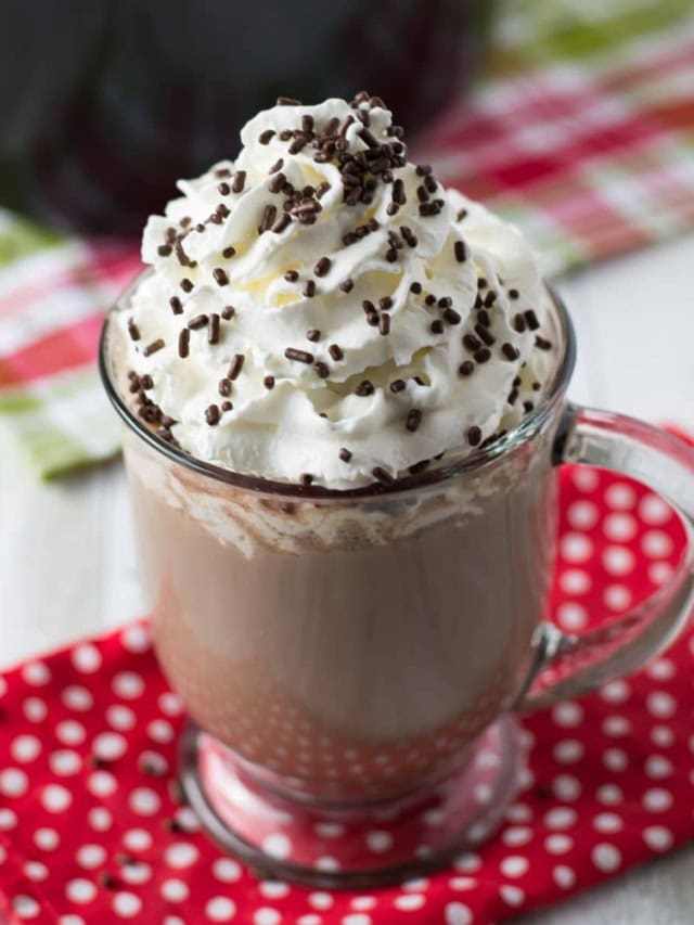 Rich and Creamy Crock Pot Hot Cocoa