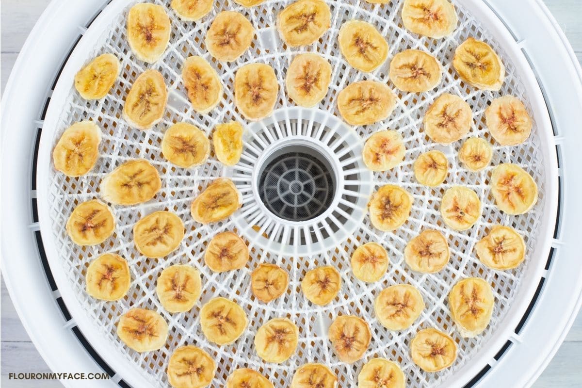 Overhead photo of a dehydrator tray filled with the finished banana chips.