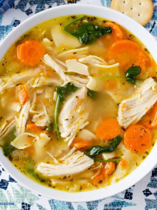 Instant Pot Homemade Chicken Noodle Soup
