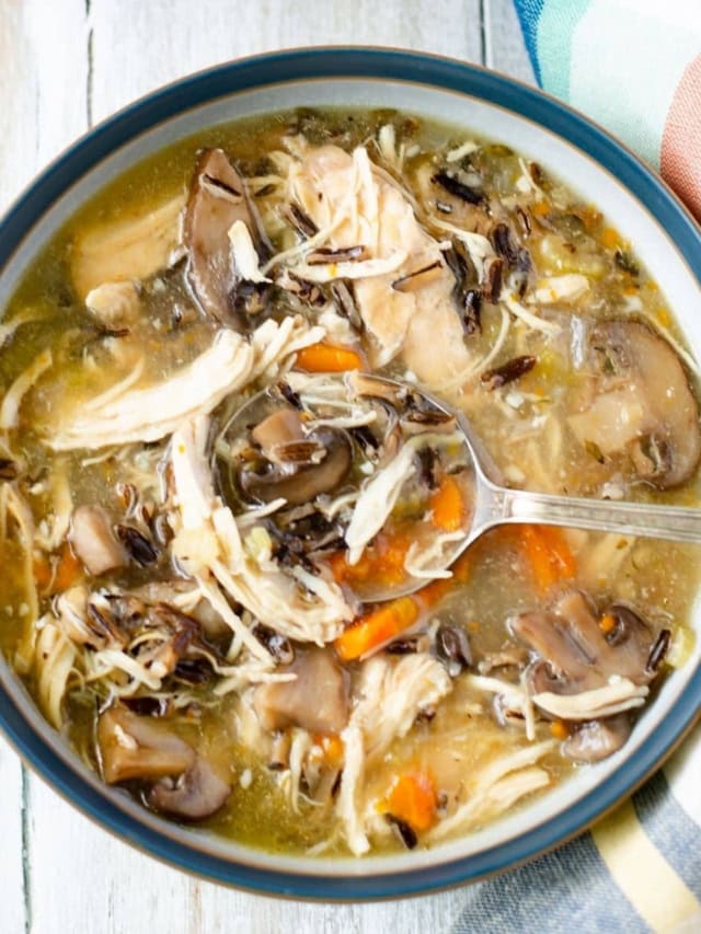 Instant Pot Chicken Wild Rice Mushroom Soup