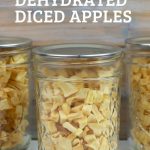 Dried Apple pieces in a jar.