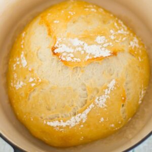 Overhead photo of a round loaf of bread inside a Dutch oven.