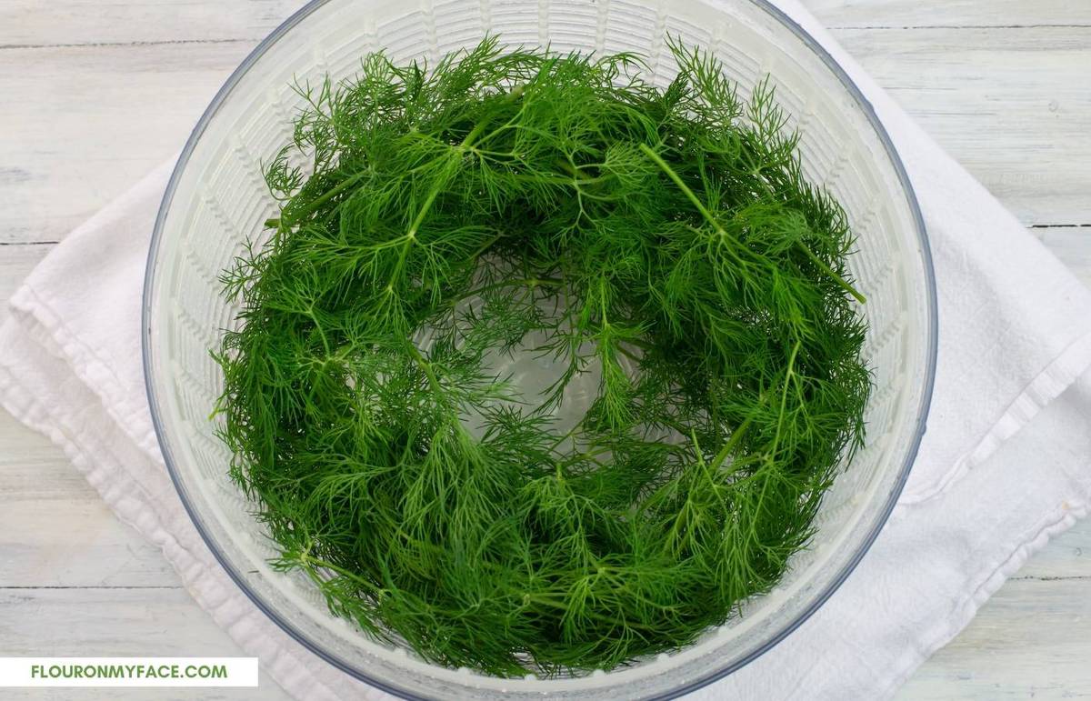 Fresh dill in a salad spinner..