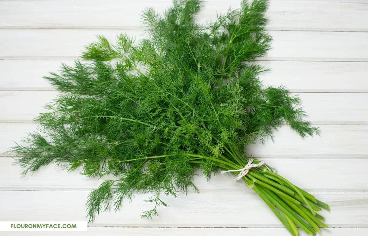 a bundle of freshly harvested dill.