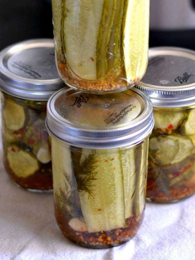 Kosher Dill Pickle Recipe