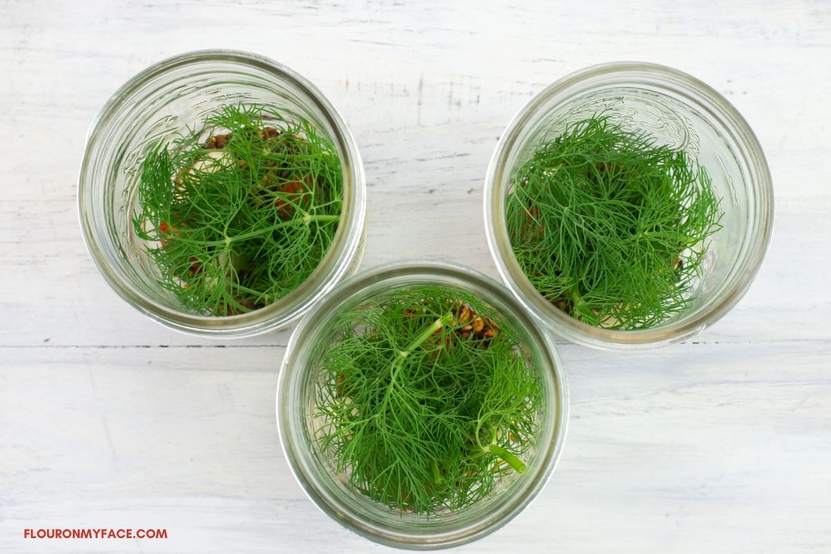 Fresh dill in the bottom of a canning jar.