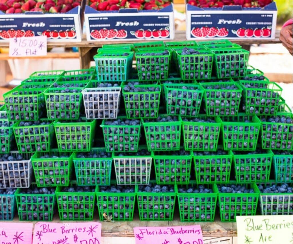 fresh blueberries in green baskets at the farmers market.