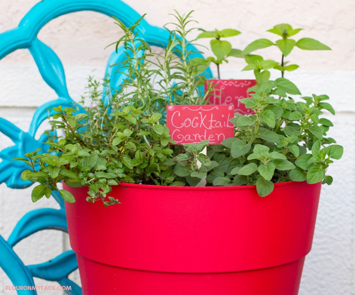 A red plastic container with herbs growing in it on a teal garden chair..