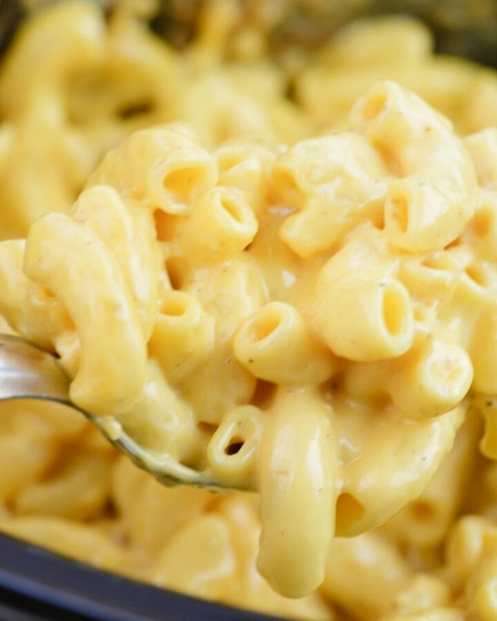 Close up of a serving spoonful of creamy crock pot macaroni and cheese.