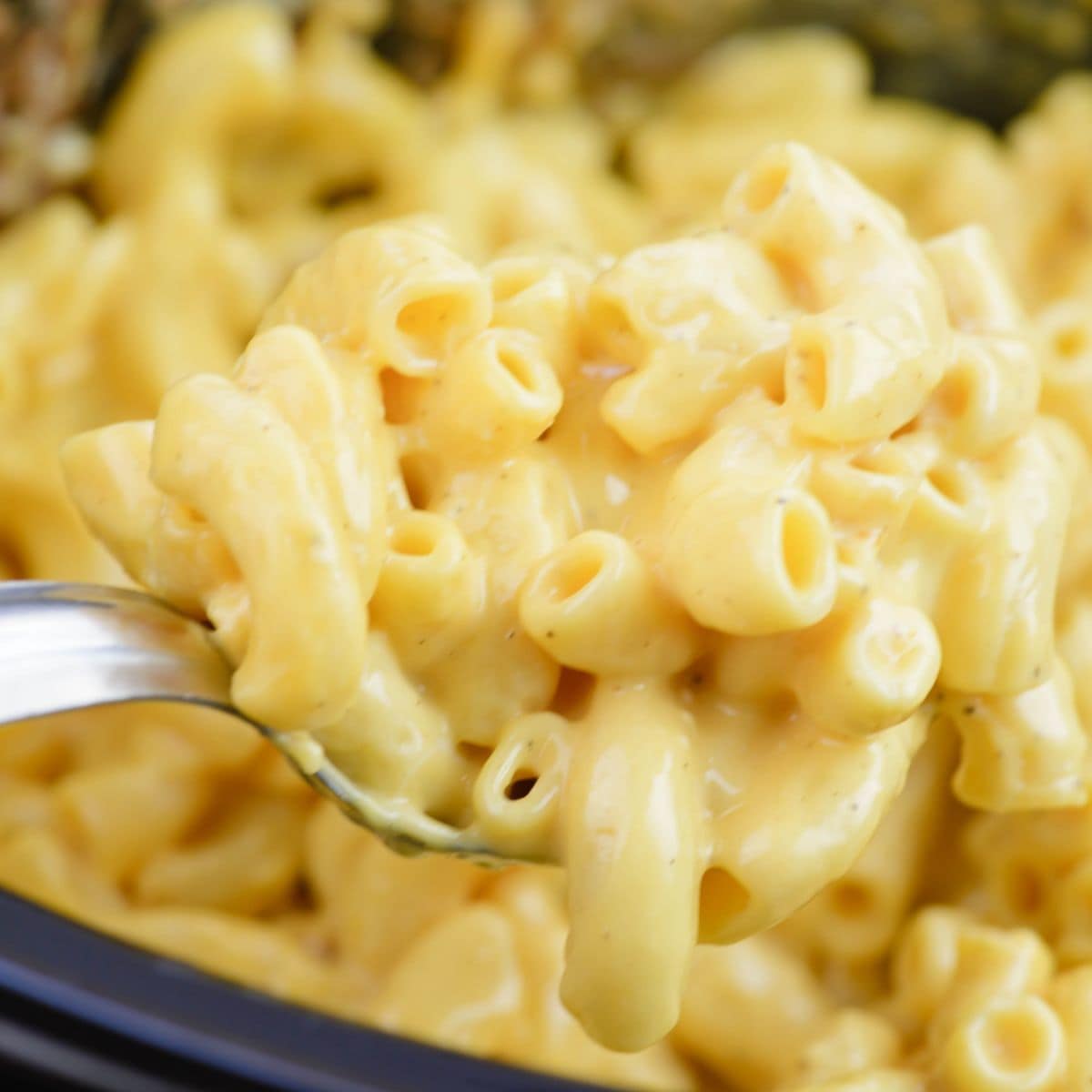 Close up of a serving spoonful of creamy crock pot macaroni and cheese.