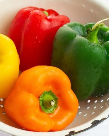 Four sweet bell peppers in a white enamel colander.