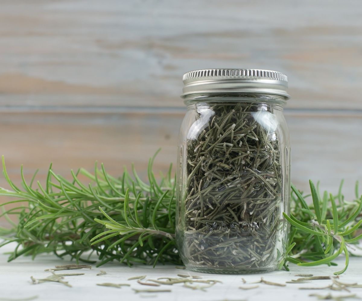 A bottle of dried rosemary with fresh rosemary branches.