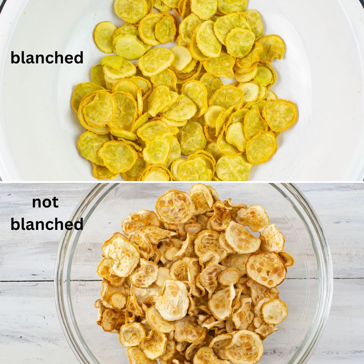 A comparison of the bright blanched and darkened unblanched dehydrated yellow squash slices.