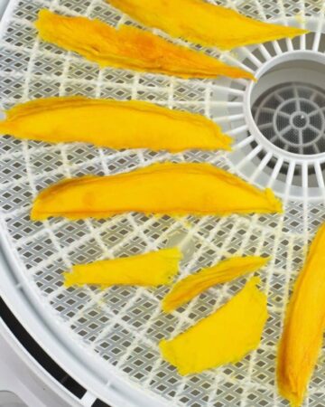 Dehydrated Mango Slices on a food dehydrator tray.