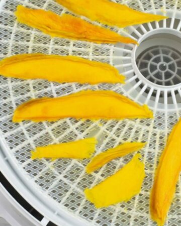 Dehydrated Mango Slices on a food dehydrator tray.