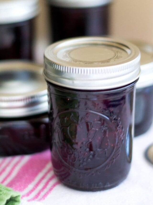 Blueberry Recipes for Canning