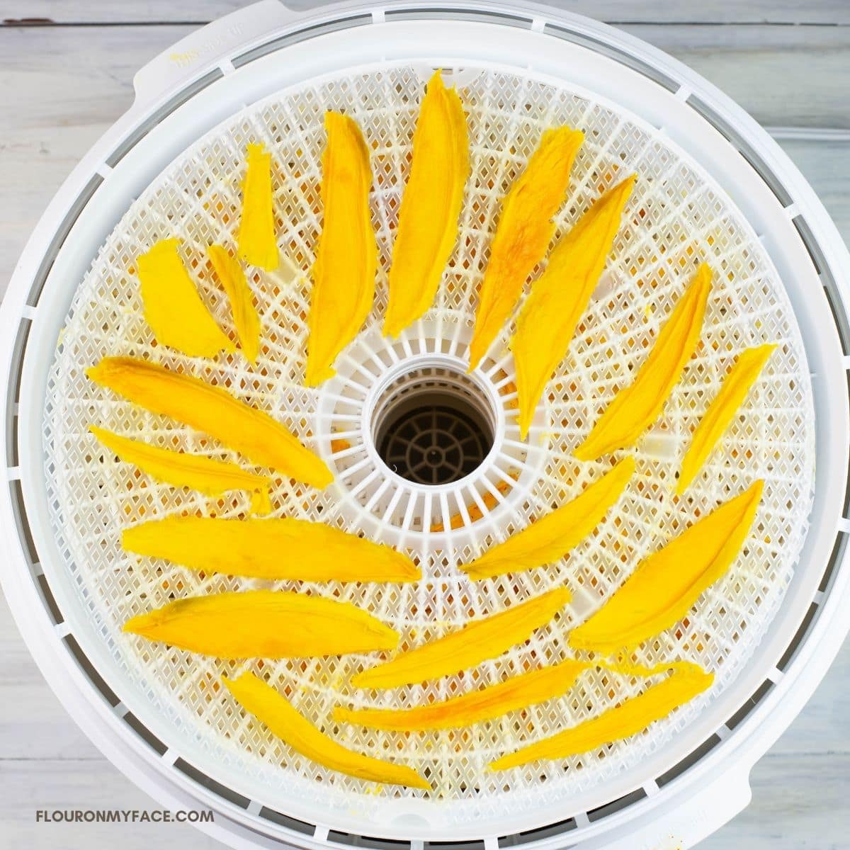 Overhead image of dried mango slices on a round dehydrator tray.