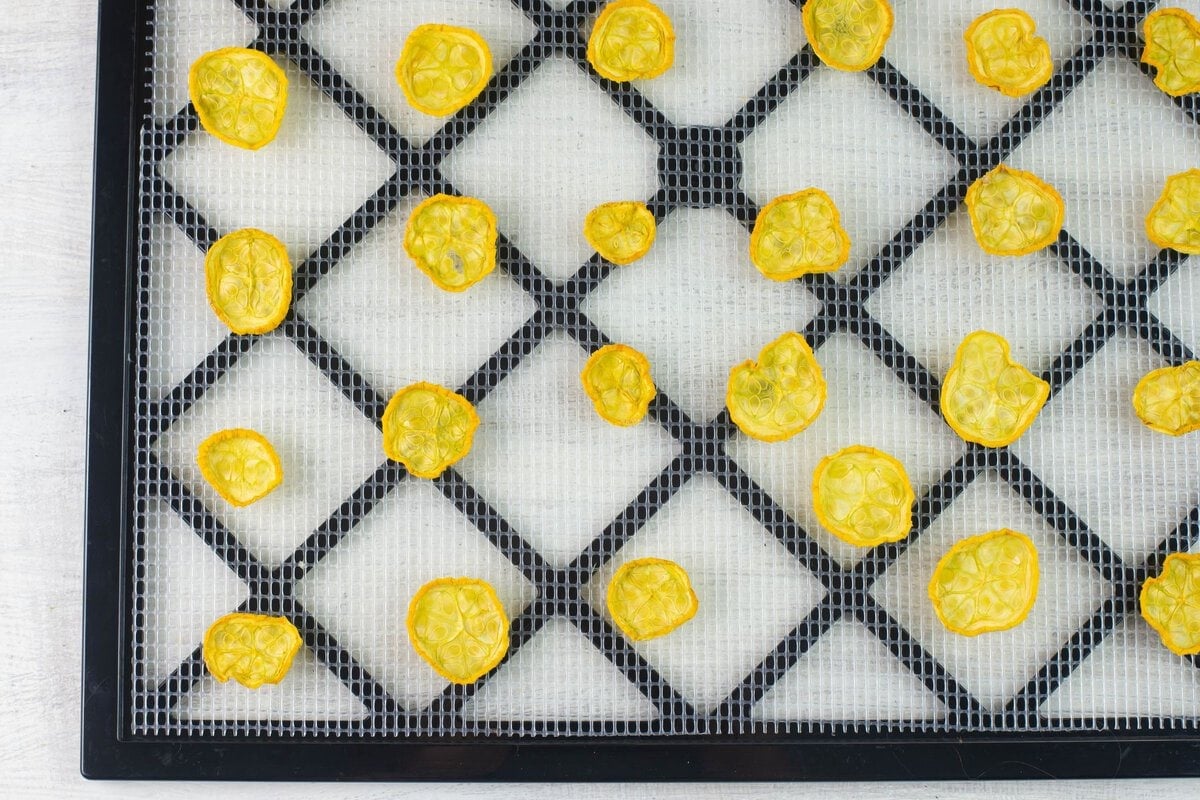 Dried squash rings on a drying tray.
