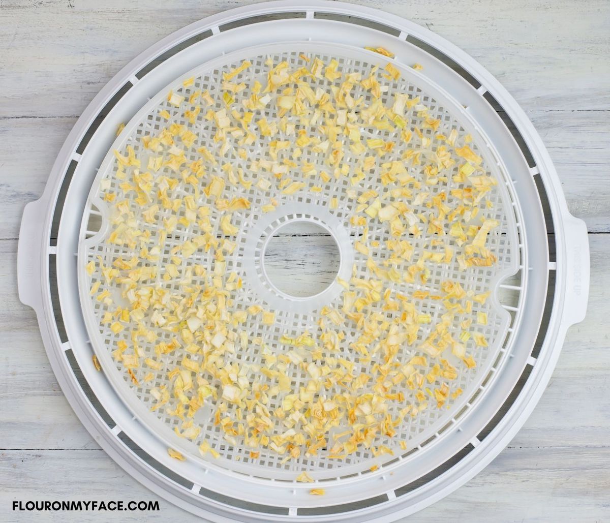 A round dehydrator tray filled with dried onion flakes.