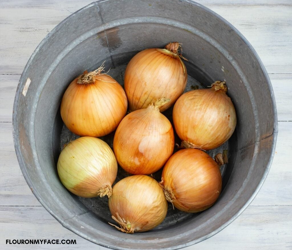 How To Dehydrate Onions (with a dehydrator) Flour On My Face