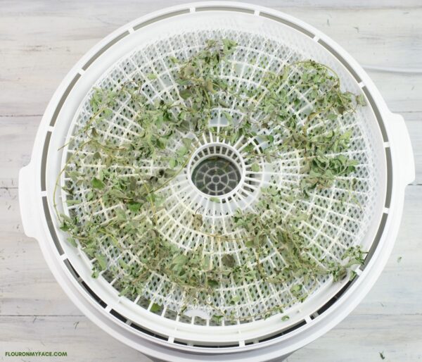 How to Dehydrate Oregano Flour On My Face