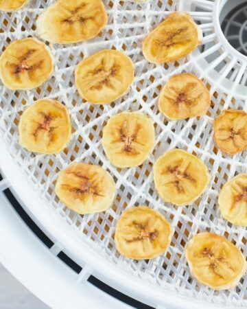 Dehydrated dried banana chips on a dehydrator mesh tray.