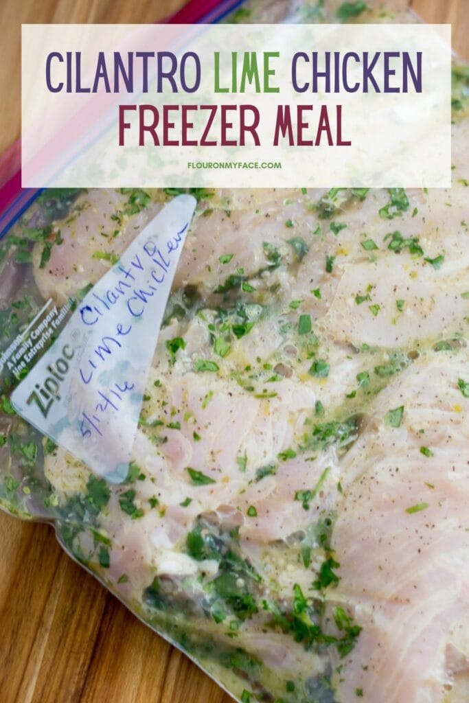 25 Boneless Chicken Breast Freezer Meals - Flour On My Face