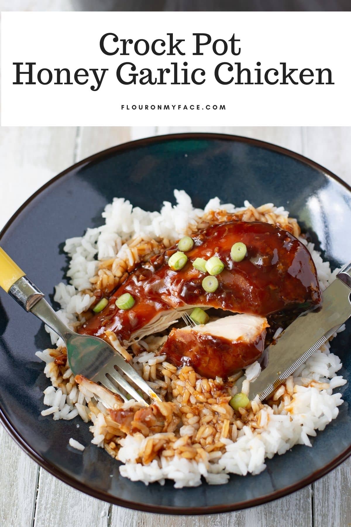 Crock Pot Honey Garlic Chicken Breasts - Flour On My Face