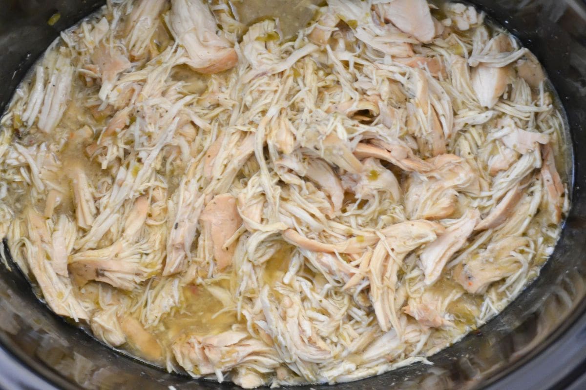 Shredded chicken topped with seasonings and Salsa Verde. 