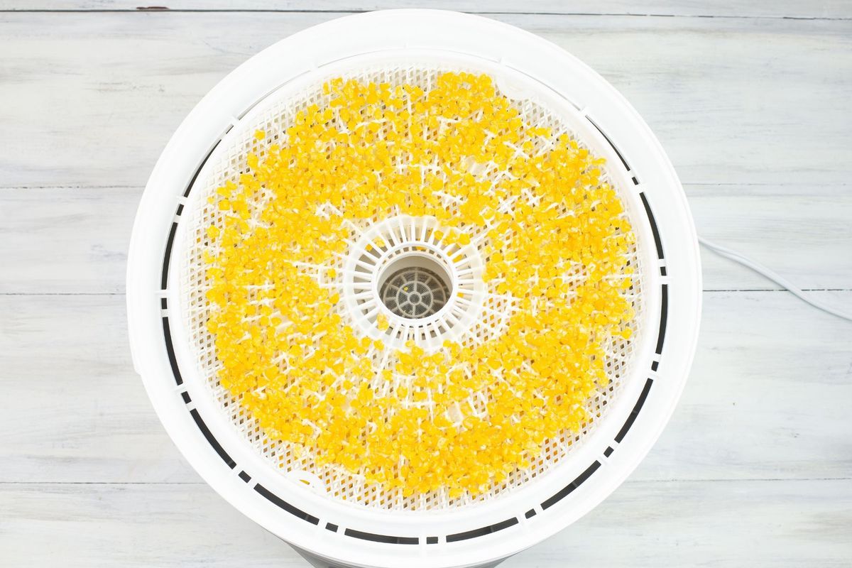 A round dehydrator tray covered with dried corn kernels.