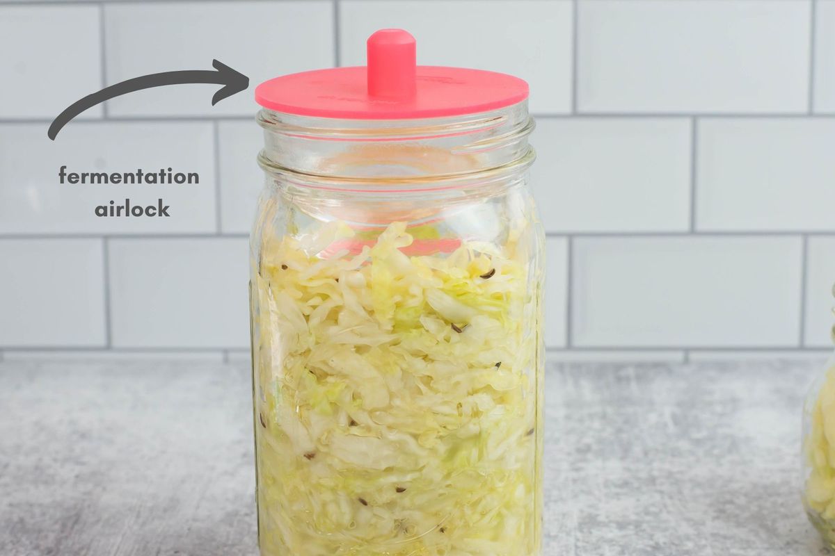 Image of a quart canning jar filled with cabbage and brine, topped with a fermentation burping lid.