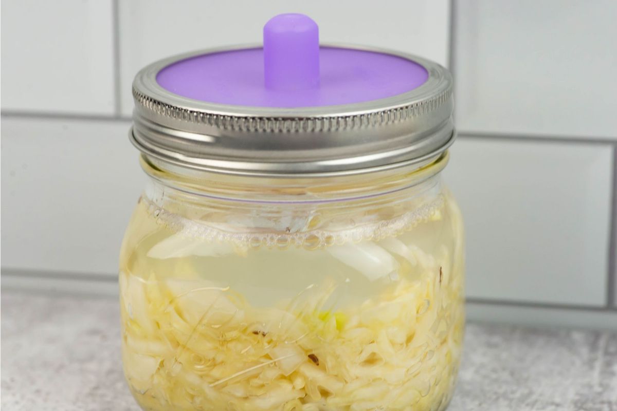 Example of what fermenting cabbage looks like after 24 hours.