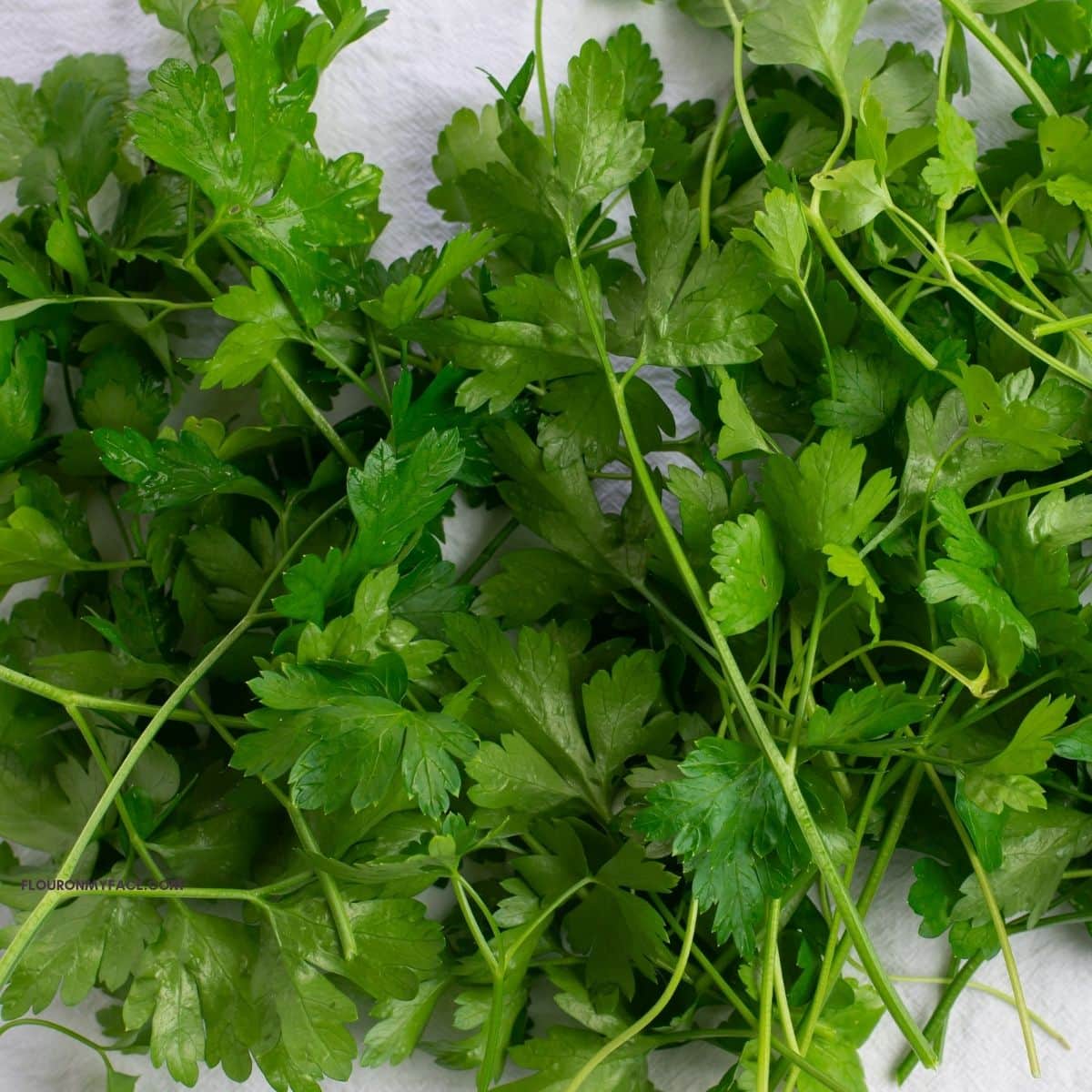 a large bunch of flat leaf parsley.