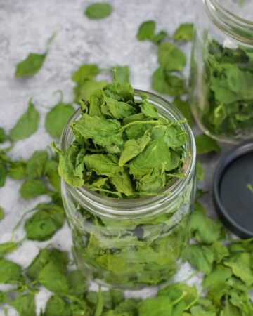 A tall mason jar overflowing with dehydrated spinach leaves.