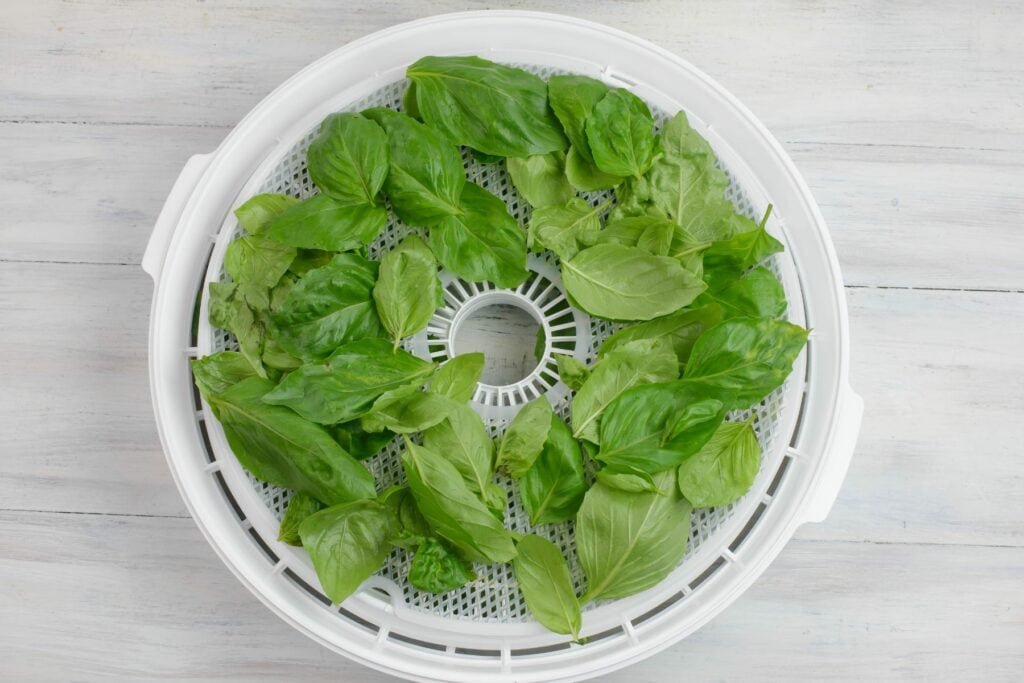 How to Dehydrate Basil Flour On My Face