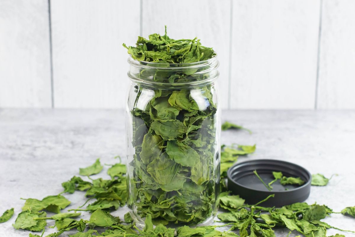 A front view of a quart mason jar filled to overflowing with dried spinach leaves.