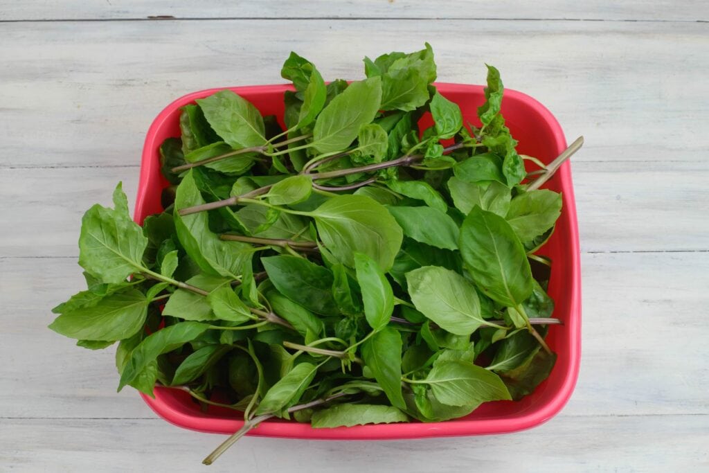 How to Dehydrate Basil Flour On My Face