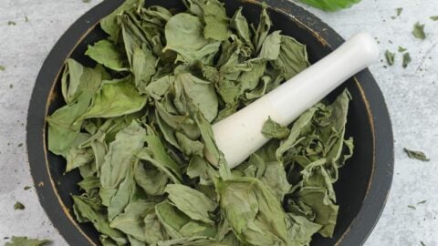 How to Dehydrate Basil