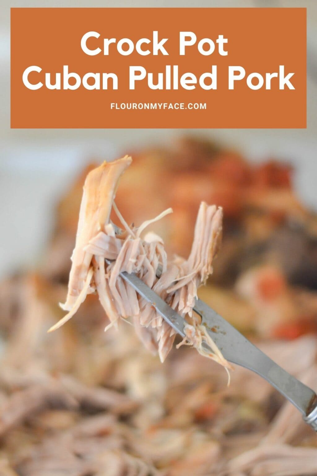 Crock Pot Cuban Pulled Pork Recipe Flour On My Face
