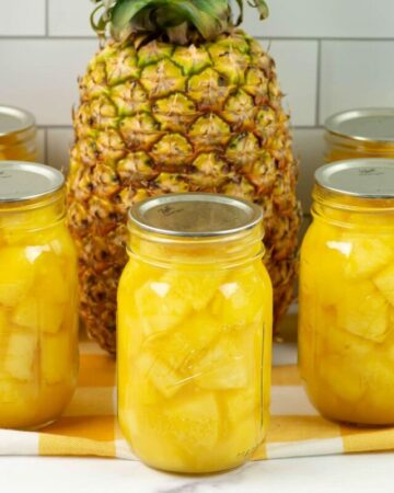 cropped-canned_pineapple_chunks.jpg