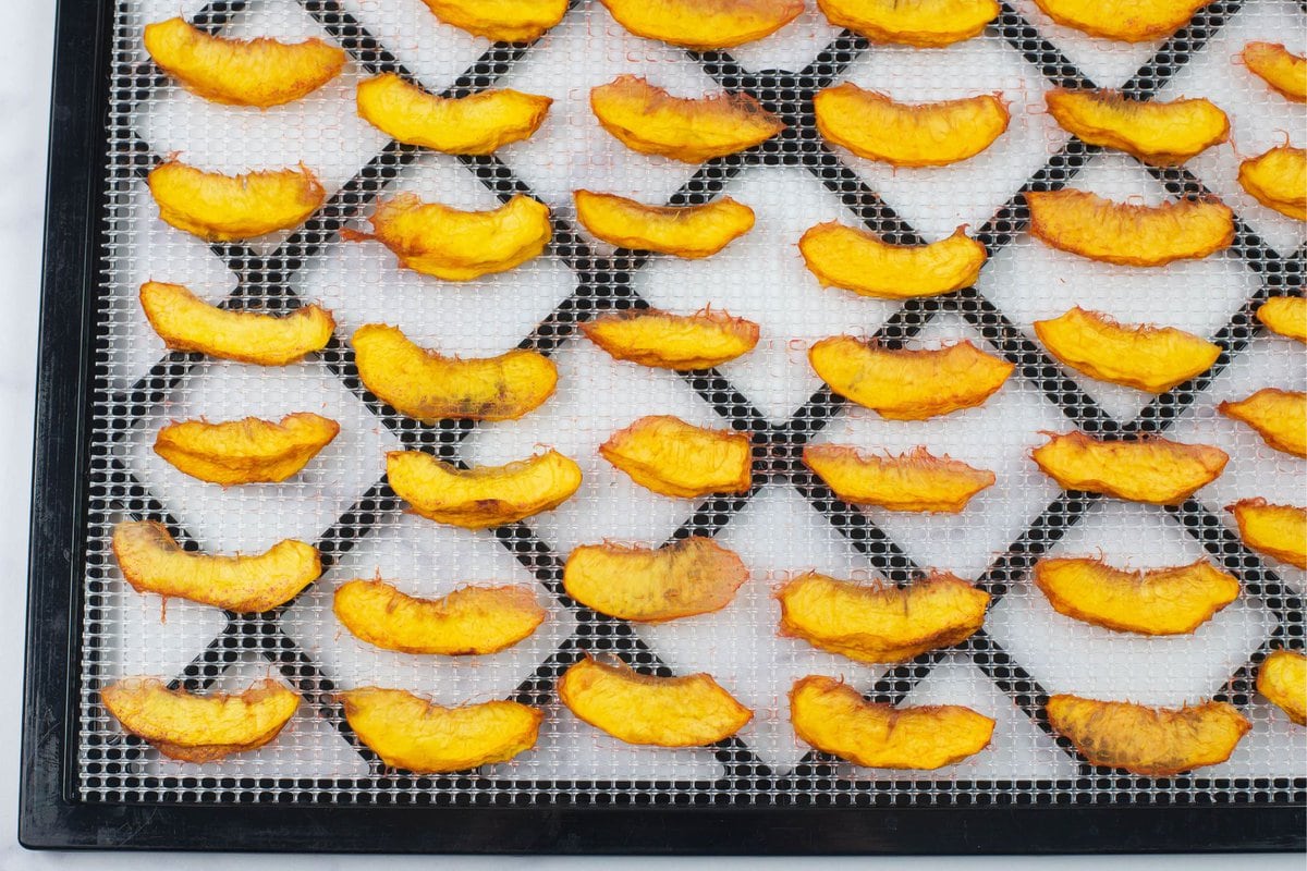 Dried peach slices on a square Excalibur dehydrator tray.