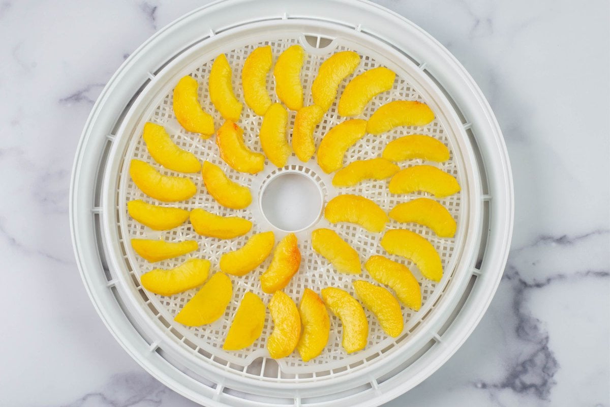 Sliced peaches on a round dehydrator tray.
