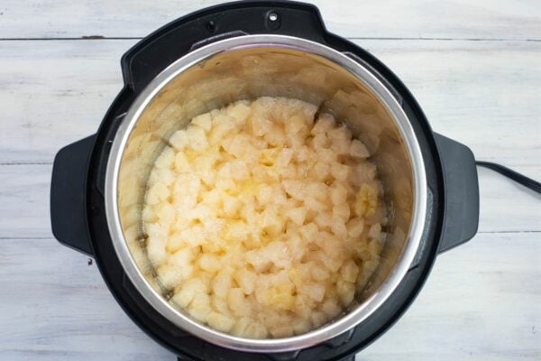 How To Make Instant Pot Applesauce - Flour On My Face