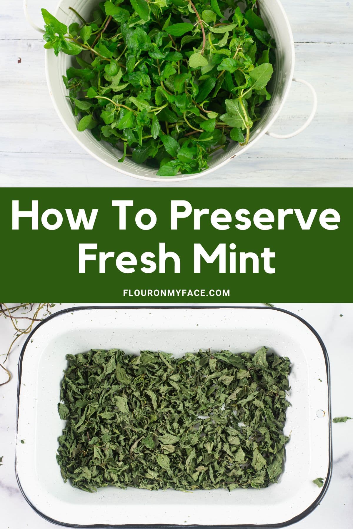 how-to-dehydrate-mint-flour-on-my-face