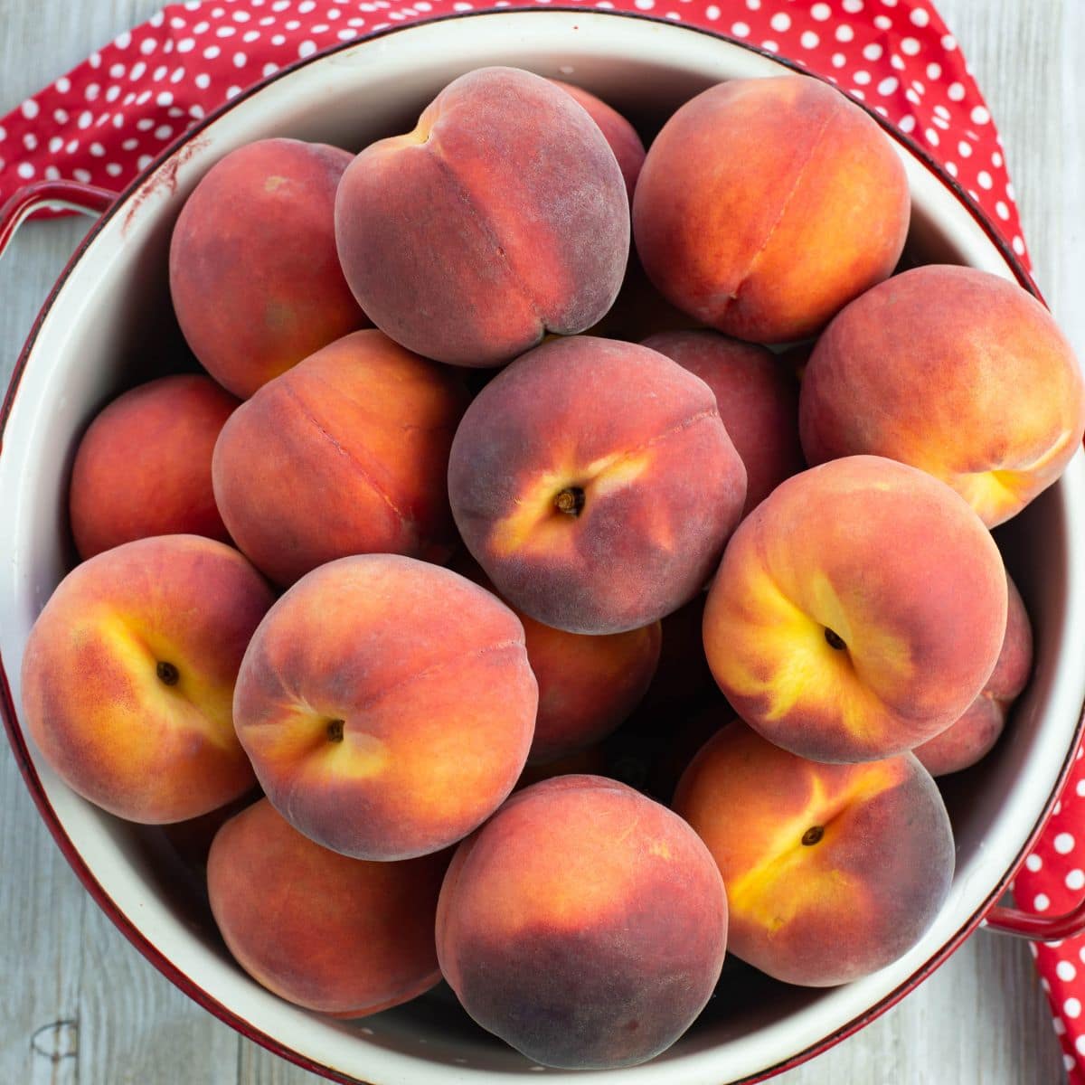 A white enamel colander filled with plump ripe peaches.